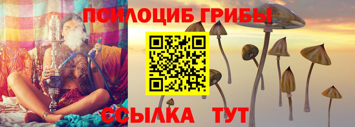 Псилоцибиновые грибы Psilocybine cubensis  где продают наркотики  Бор  Вход с VPN 