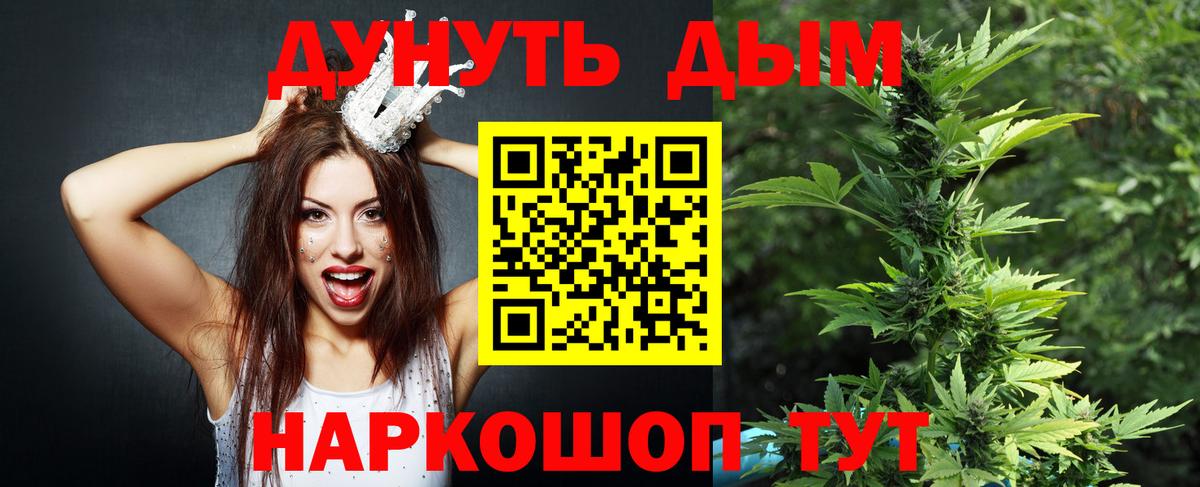 Бошки Шишки планчик Бор